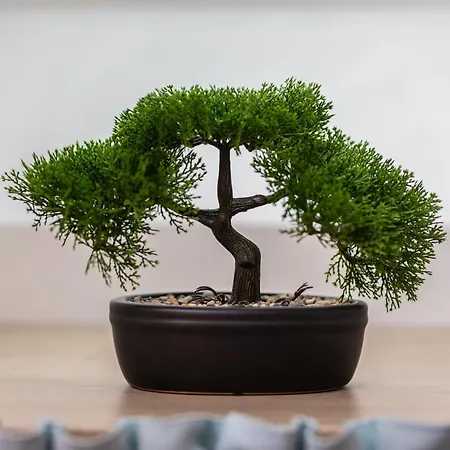 Le Nid Des Pros', Ideal Teletravail, Proche Compiegne Jaux